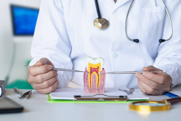 Best Dentist for Severe Toothache  in Rosemont, CA
